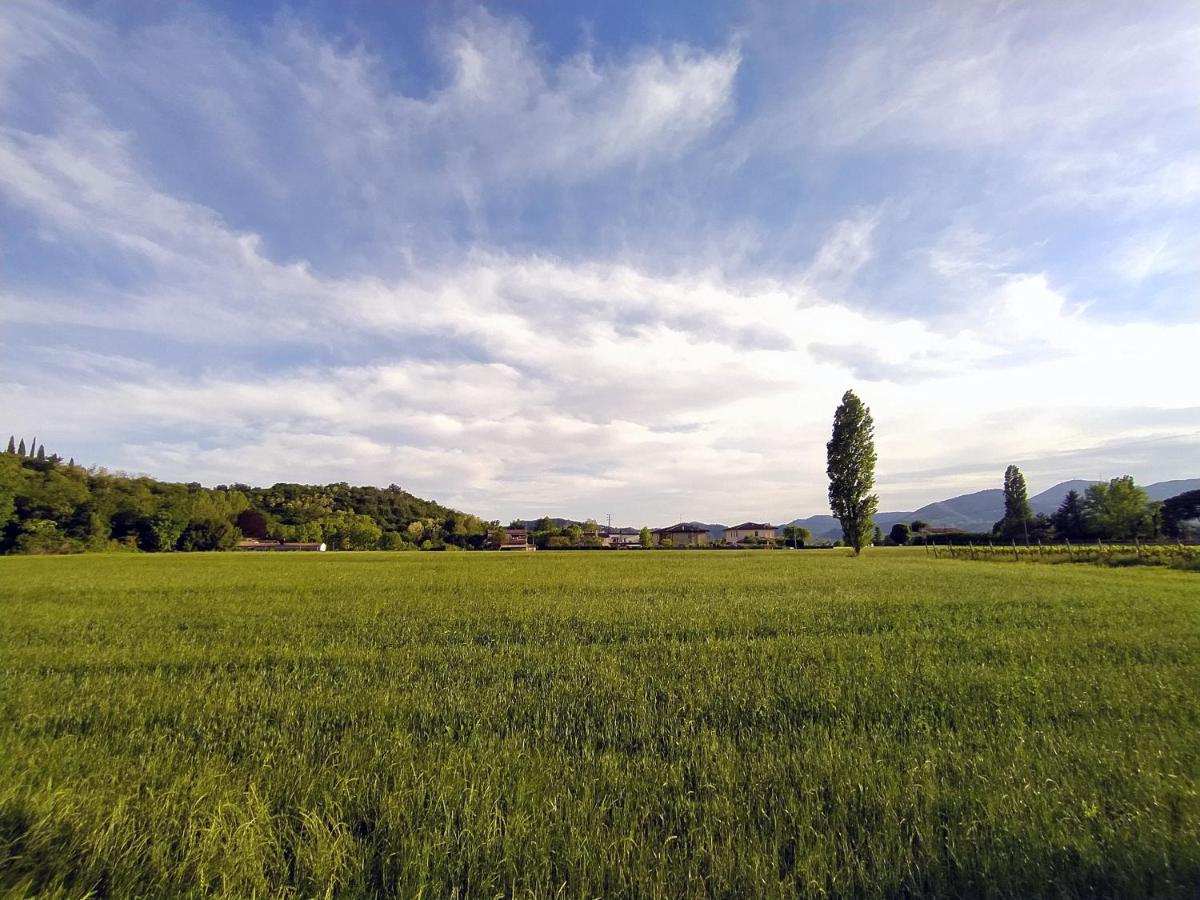 Ca' Emma Teolo Appartement Buitenkant foto